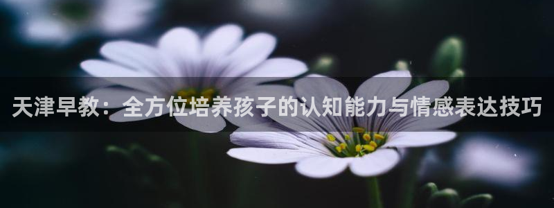 天顺娱乐渭32oo59涌反：天津早教：全方位培养孩子的认知能力与情感表达技巧