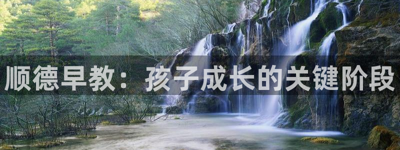 天顺娱乐达q96303：顺德早教：孩子成长的关键阶段
