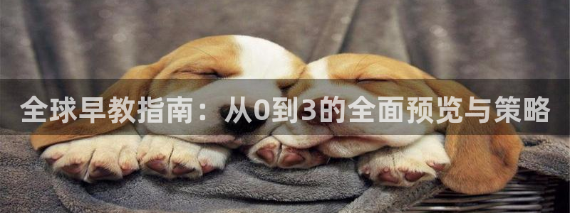 天顺娱乐负责人饣籍p29999：全球早教指南：从0到3的全面预览与策略