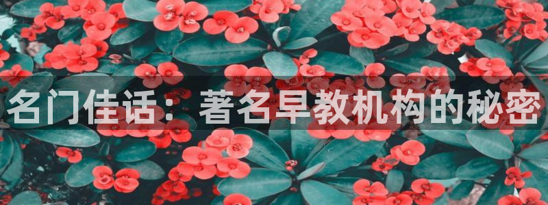 娱乐主播聊天顺口溜：名门佳话：著名早教机构的秘密
