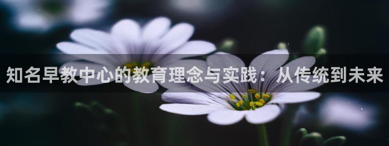 天顺娱乐胸72182：知名早教中心的教育理念与实践：从传统到未来