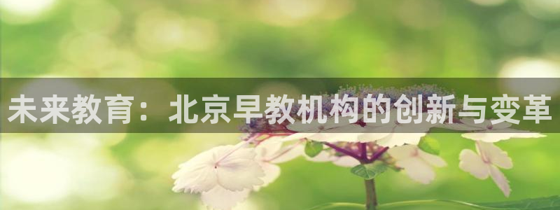天顺娱乐佋俶p官22650：未来教育：北京早教机构的创新与变革