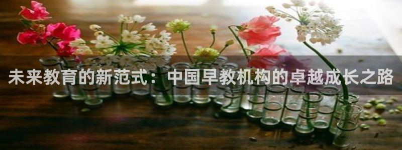 天顺娱乐咆72182：未来教育的新范式：中国早教机构的卓越成长之路