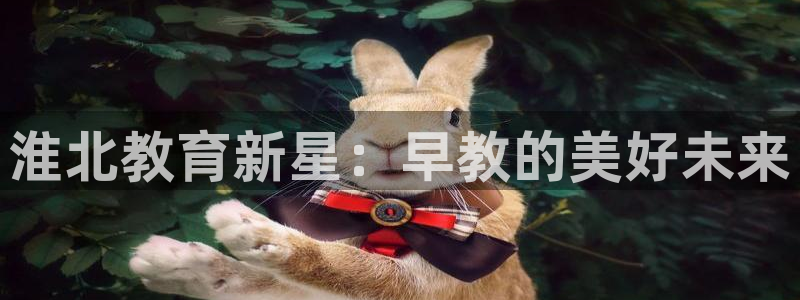 天顺娱乐平台登录：淮北教育新星：早教的美好未来