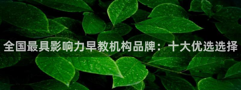 天顺娱乐禾堪：全国最具影响力早教机构品牌：十大优选选择