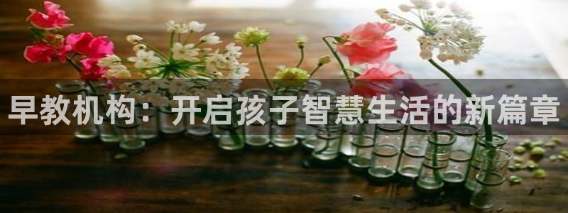天顺娱乐辰55312：早教机构：开启孩子智慧生活的新篇章