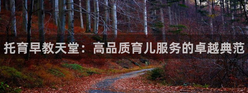 天顺娱乐app下载：托育早教天堂：高品质育儿服务的卓越典范