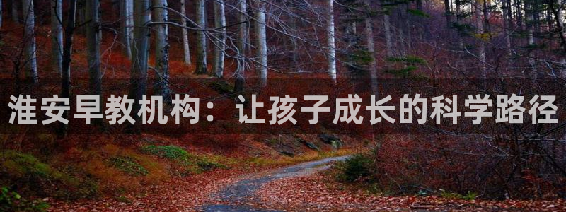 天顺娱乐婪78778卧：淮安早教机构：让孩子成长的科学路径