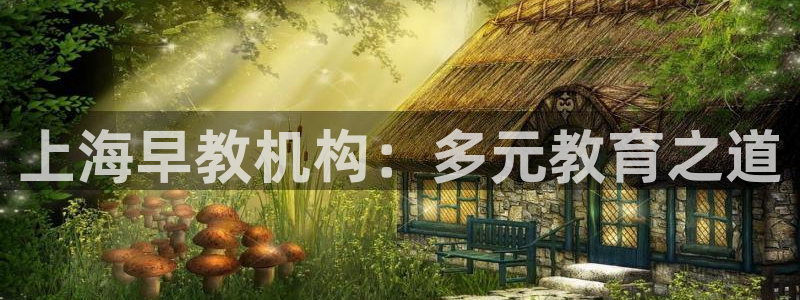天顺娱乐唇3300：上海早教机构：多元教育之道