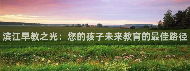 天顺娱乐现3300:滨江早教之光:您的孩子未来教育的最佳路径