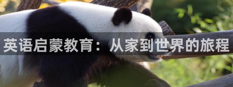 天顺娱乐彩票电话：英语启蒙教育：从家到世界的旅程