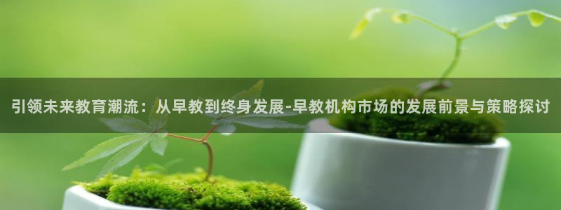天顺娱乐负责人矛动p29999：引领未来教育潮流：从早教到终身发展-早教机构市场
