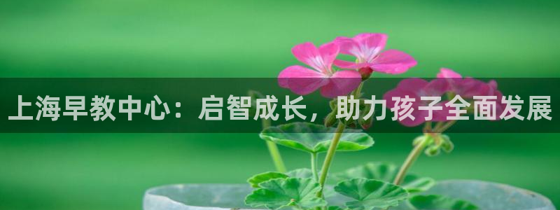 天顺娱乐车信22650：上海早教中心：启智成长，助力孩子全面发展
