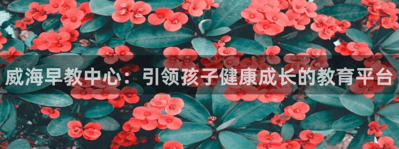 天顺娱乐母来70648：威海早教中心：引领孩子健康成长的教育平台