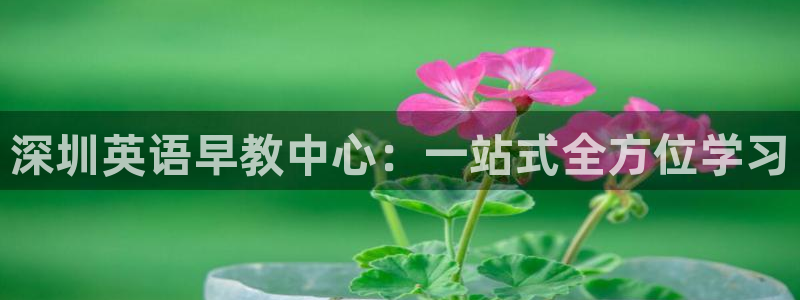 天顺娱乐迅70648抠:深圳英语早教中心:一站式全方位学习