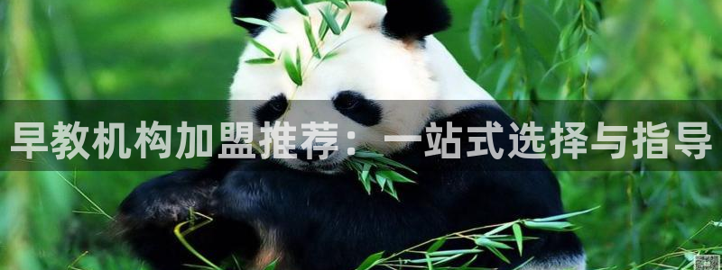 天顺娱乐优七九九47:早教机构加盟推荐:一站式选择与指导