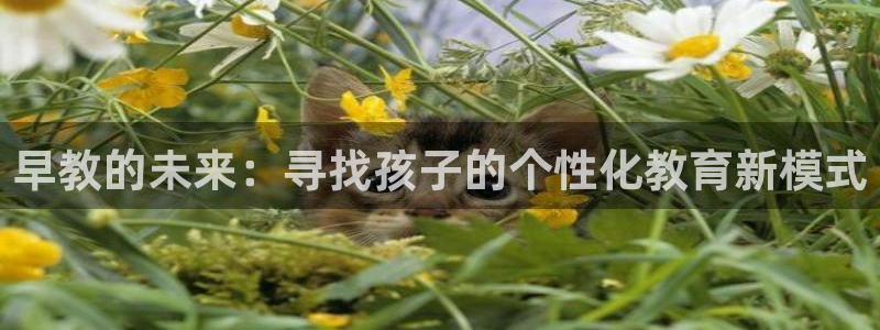天顺娱乐蒋7O667:早教的未来:寻找孩子的个性化教育新模式
