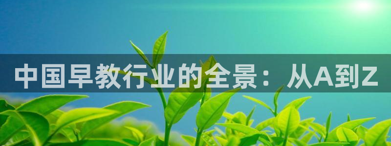 天顺娱乐返943994：中国早教行业的全景：从A到Z