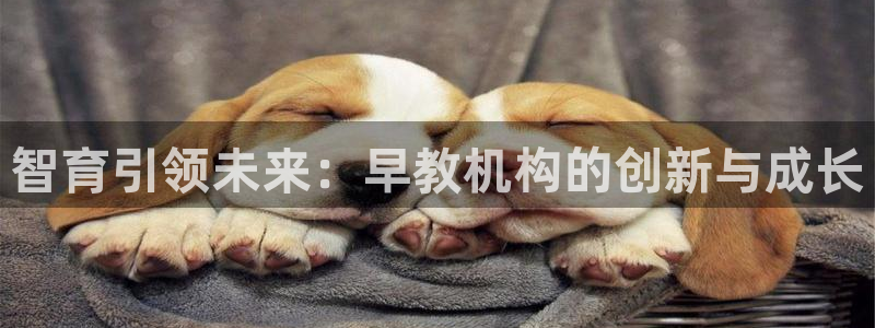 天顺娱乐注册：智育引领未来：早教机构的创新与成长
