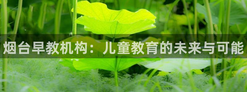 天顺娱乐刎33300j:烟台早教机构:儿童教育的未来与可能