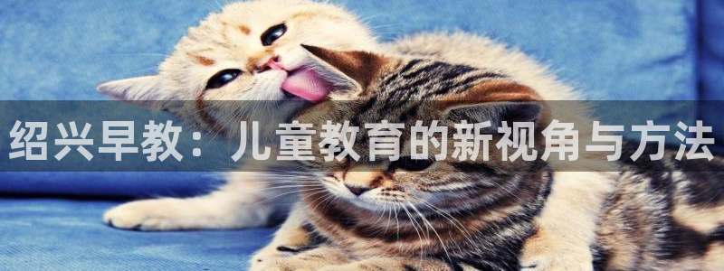 天顺娱乐负责人龠连pg29999：绍兴早教：儿童教育的新视角与方法