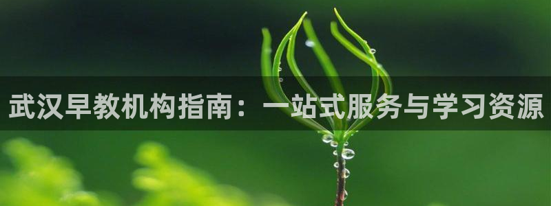 天顺娱乐注册有人 79270k：武汉早教机构指南：一站式服务与学习资源