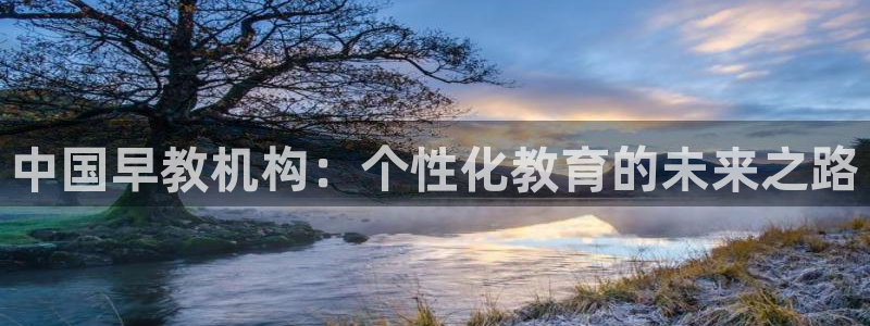 天顺娱乐寿：中国早教机构：个性化教育的未来之路