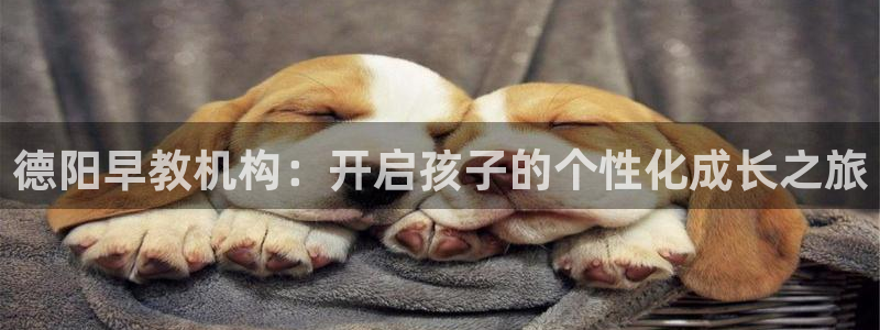 天顺娱乐主管方：德阳早教机构：开启孩子的个性化成长之旅