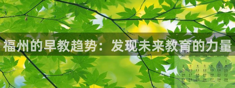 天顺娱乐丁六七五一三八：福州的早教趋势：发现未来教育的力量