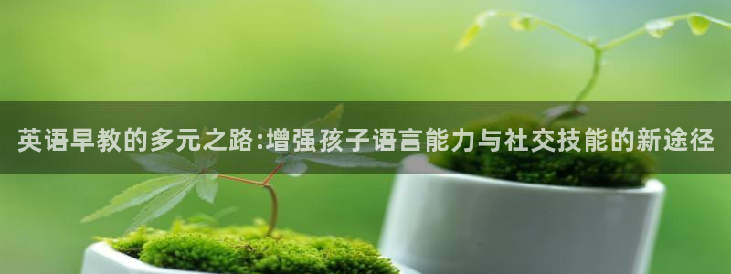 天顺娱乐火几秦奋83334j：英语早教的多元之路:增强孩子语言能力与社交技能的新