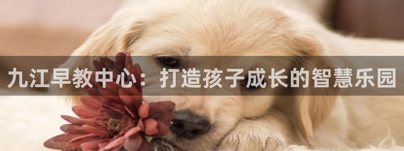 天顺娱乐鲁好：九江早教中心：打造孩子成长的智慧乐园