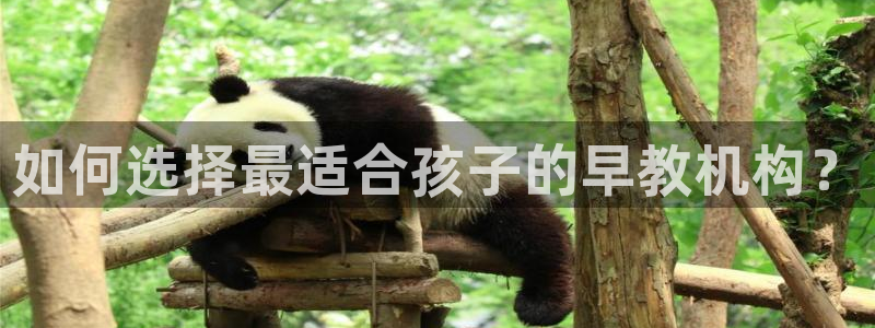 天顺娱乐车18 888：如何选择最适合孩子的早教机构？