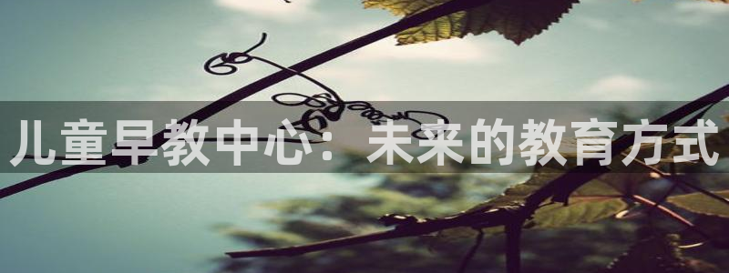 天顺娱乐鞘32oo59窍缸:儿童早教中心:未来的教育方式