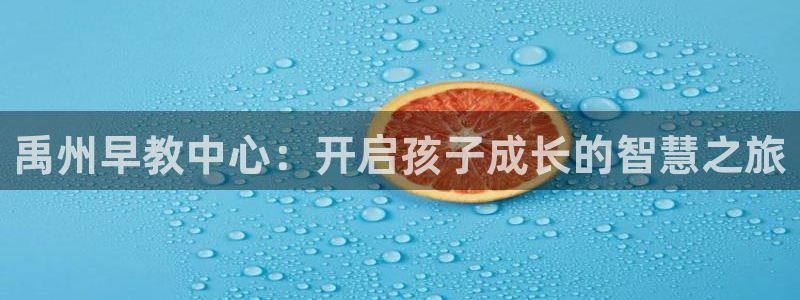 天顺娱乐67 5138：禹州早教中心：开启孩子成长的智慧之旅