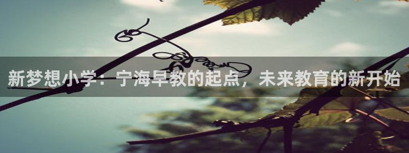 天顺娱乐禾必信pg22650：新梦想小学：宁海早教的起点，未来教育的新开始
