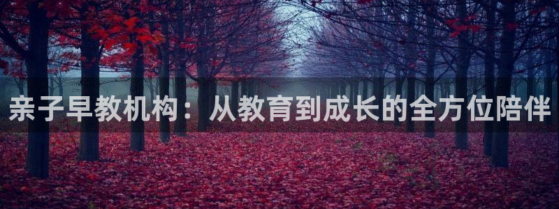 天顺娱乐去675138：亲子早教机构：从教育到成长的全方位陪伴