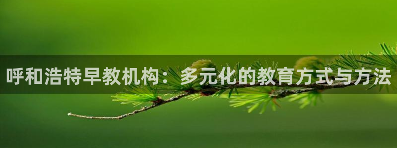 天顺娱乐 k户285580扣c：呼和浩特早教机构：多元化的教育方式与方法