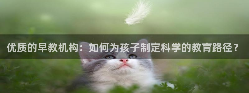 天顺娱乐负责人干门pg29999:优质的早教机构:如何为孩子制定科学的教育路径?