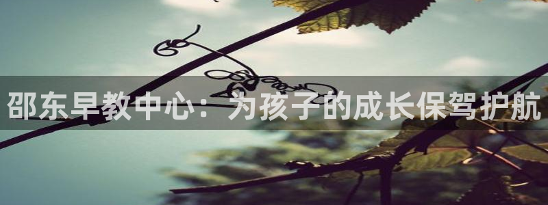 天顺娱乐负责人龠连pg29999：邵东早教中心：为孩子的成长保驾护航