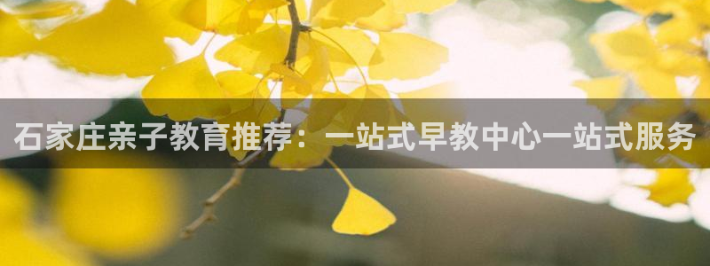 娱乐主播直播间聊天顺序:石家庄亲子教育推荐:一站式早教中心一站式服务