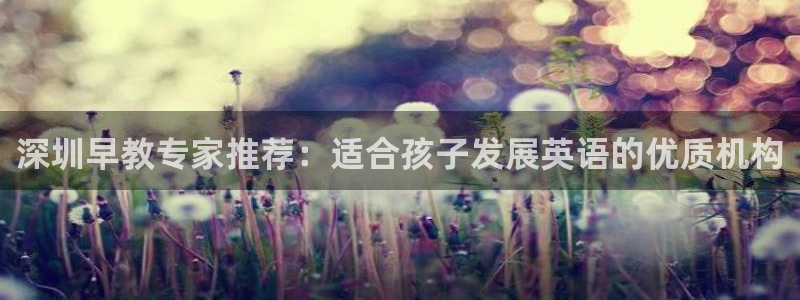 天顺娱乐的挂机宝：深圳早教专家推荐：适合孩子发展英语的优质机构