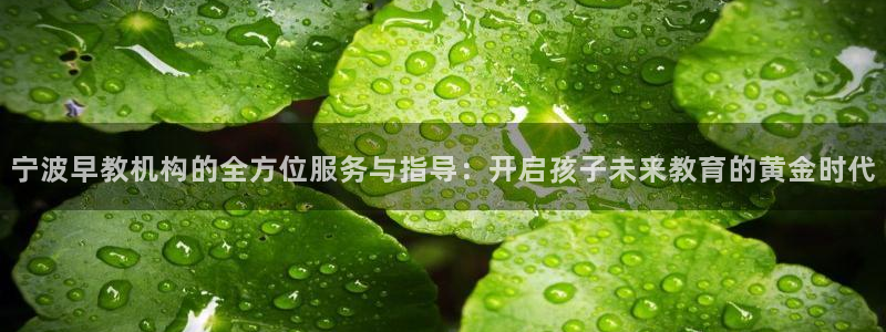 天顺娱乐卦78778卧：宁波早教机构的全方位服务与指导：开启孩子未来教育的黄金时