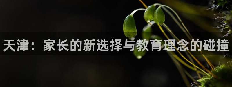 天顺娱乐绿苍70648:天津:家长的新选择与教育理念的碰撞