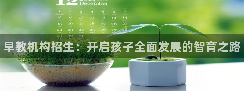 天顺娱乐屠33300:早教机构招生:开启孩子全面发展的智育之路