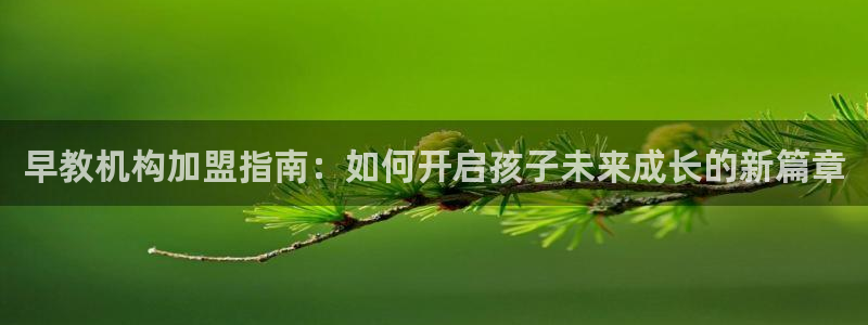 天顺娱乐傧3300：早教机构加盟指南：如何开启孩子未来成长的新篇章