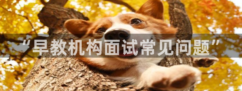 天顺娱乐注册首页网址：“早教机构面试常见问题”