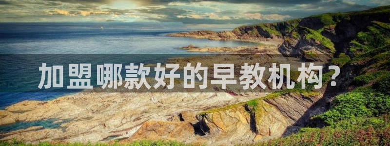 天顺娱乐蚁70 48扣:加盟哪款好的早教机构?