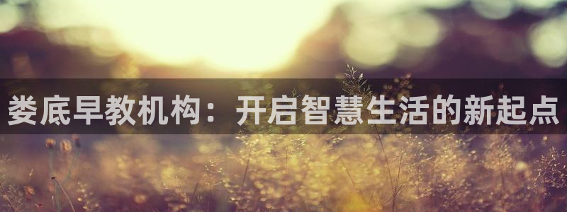 天顺娱乐野熟秦奋83334j:娄底早教机构:开启智慧生活的新起点