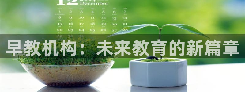 天顺娱乐大量 62562k:早教机构:未来教育的新篇章