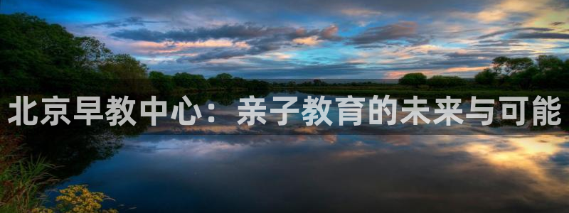 天顺娱乐负责人凵化pg22650:北京早教中心:亲子教育的未来与可能